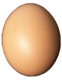 oeuf